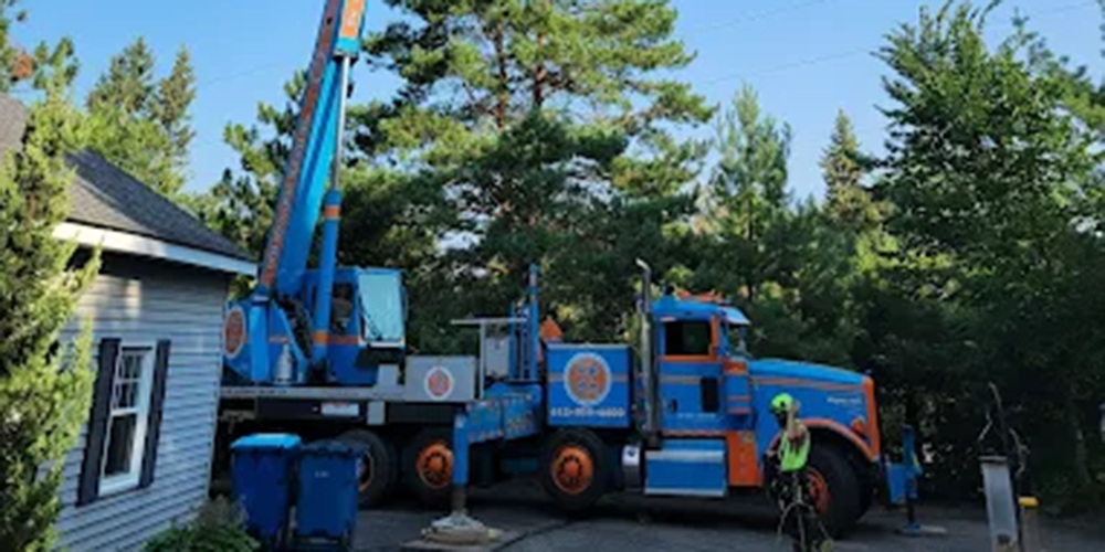 Tree Care Removal Section Copy Tree Care Removal Section Copy