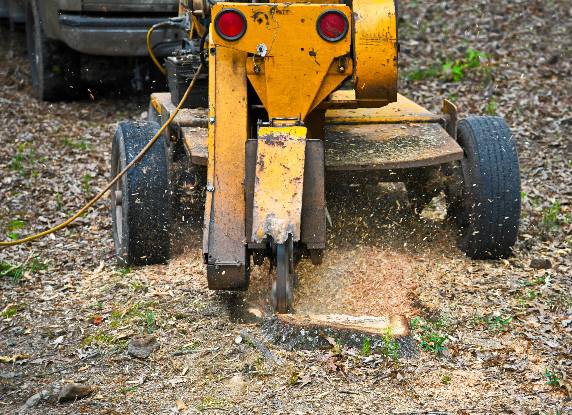 Stump Grinding Stump Grinding